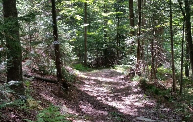 Grande corvée de nettoyage et inauguration du sentier Les Coulées