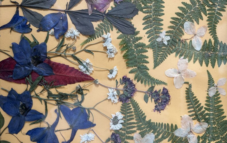 Exposition à la bibliothèque