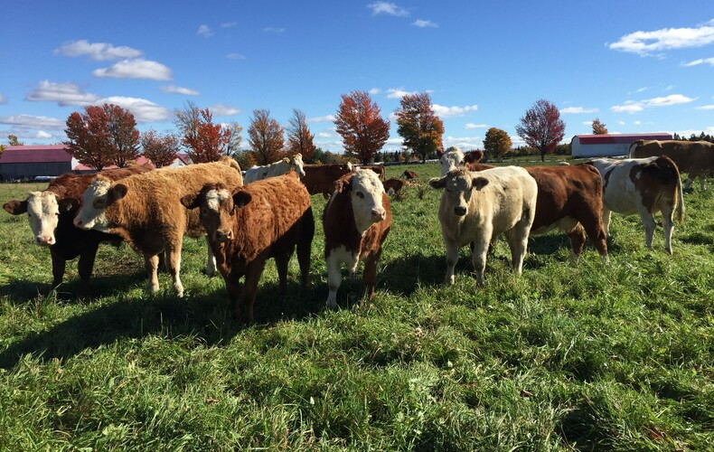 Agriculteurs - Exprimez-vous!